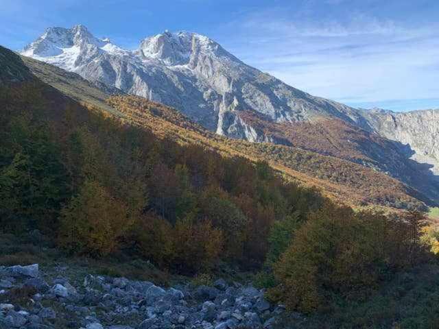Cumbres De Los Picos Apartamento La Yedra Poo  Eksteriør bilde